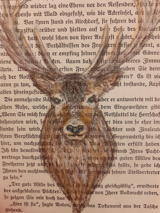 Hirsch im Buch